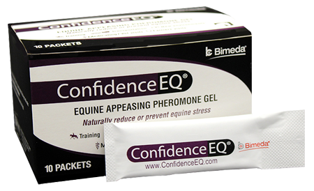 Confidence EQ