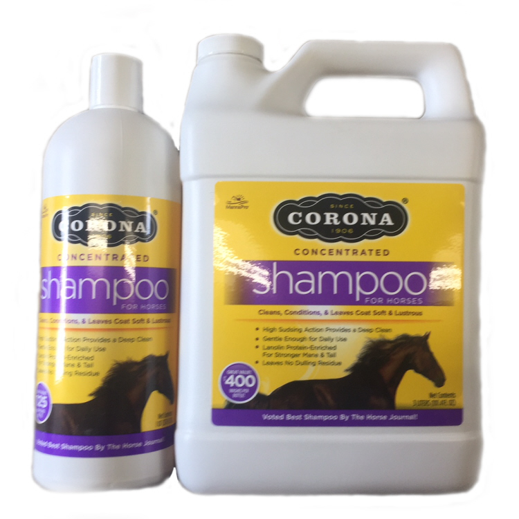 Corona Shampoo