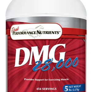 DMG 5