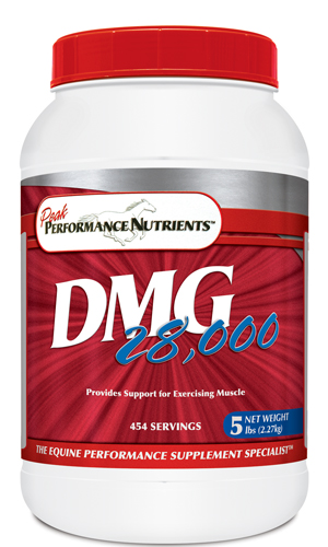 DMG 5