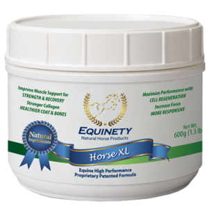 Equinety Horse