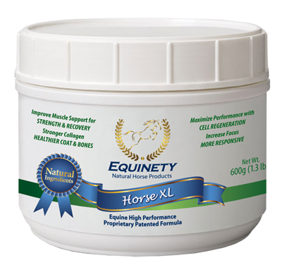 Equinety Horse