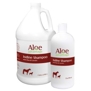 Iodine Shampoo