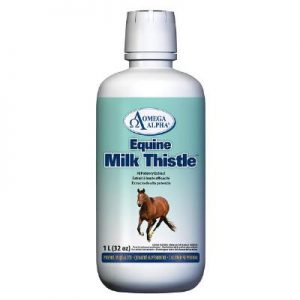 Milk Thistle