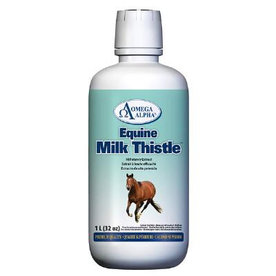 Milk Thistle