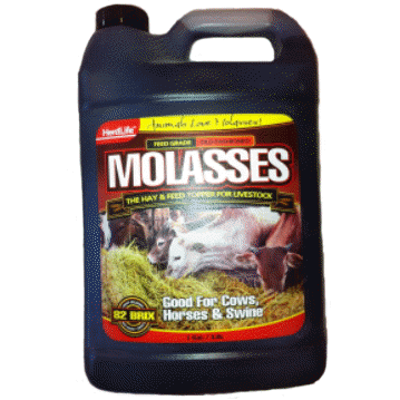 Molasses