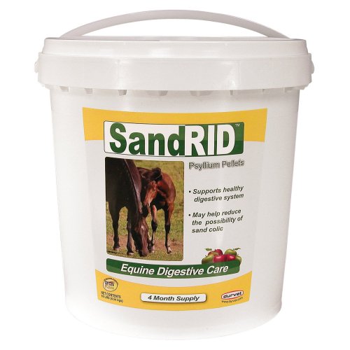 SandRID