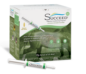 Succeed