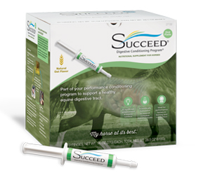 Succeed