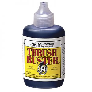Thrush Bust